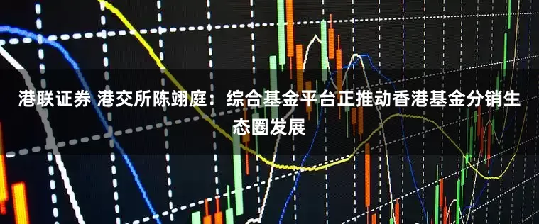港联证券 港交所陈翊庭：综合基金平台正推动香港基金分销生态圈发展