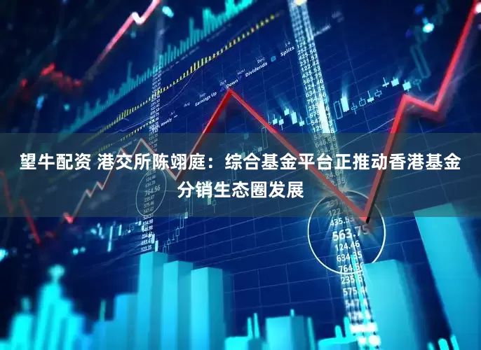 望牛配资 港交所陈翊庭：综合基金平台正推动香港基金分销生态圈发展