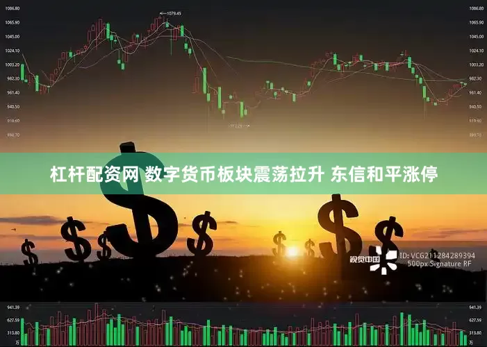 杠杆配资网 数字货币板块震荡拉升 东信和平涨停
