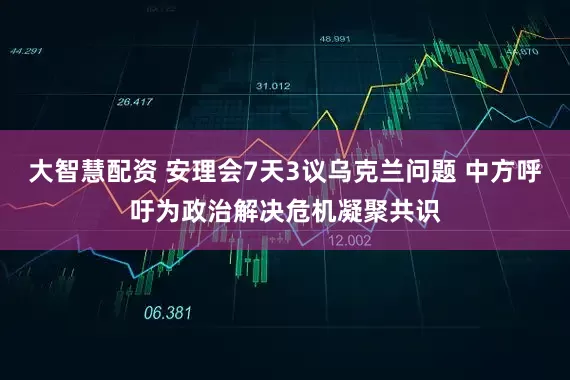 大智慧配资 安理会7天3议乌克兰问题 中方呼吁为政治解决危机凝聚共识
