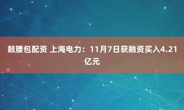 鼓腰包配资 上海电力：11月7日获融资买入4.21亿元